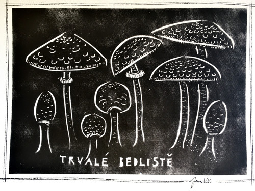 Trvalé bedliště — foto 1