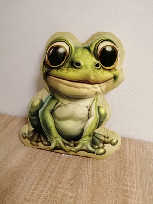 Žába- 3D polštář