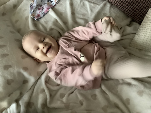 Polodupačky merino — foto 1