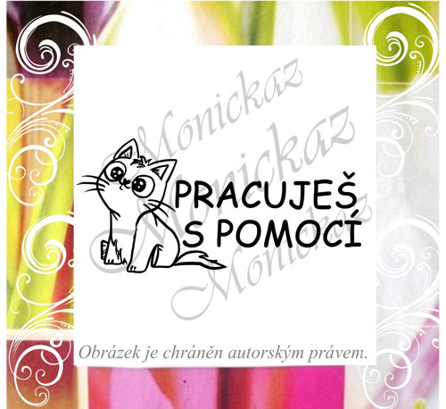 Pracuješ s pomocí kočka 150 c). Razítko.