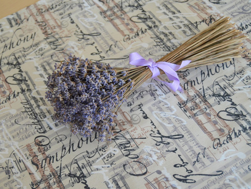 Nejen hudbou je člověk živ III. (běhoun 130x50 cm)