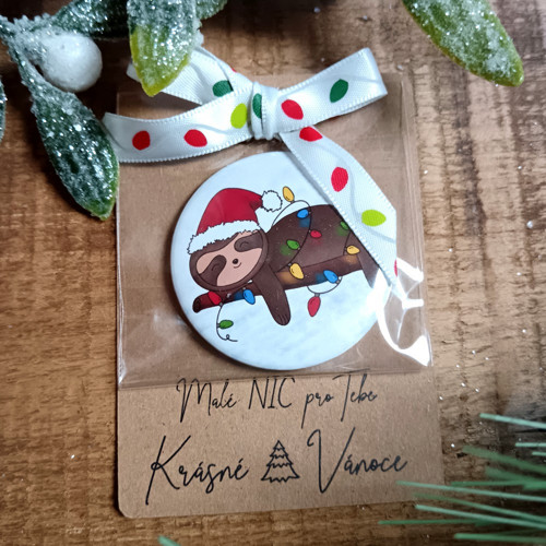Placka magnet na kartičce - Malé NIC - lenochod