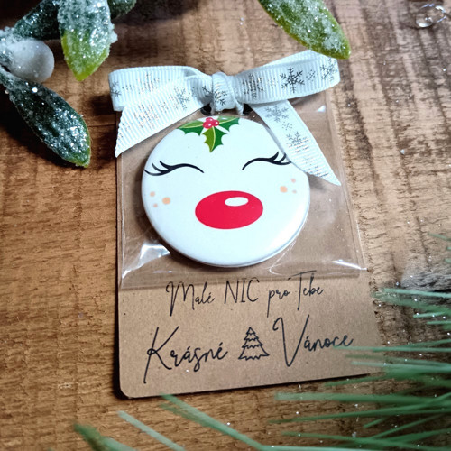 Placka magnet na kartičce - NIC - sobík — foto 1