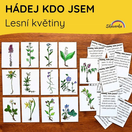 HÁDEJ KDO JSEM - Lesní květiny