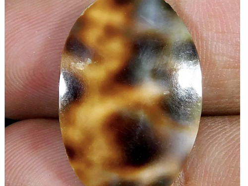 TYGŘÍ MUŠLE- kabošon,broušený minerál 12.90 Ct. IN