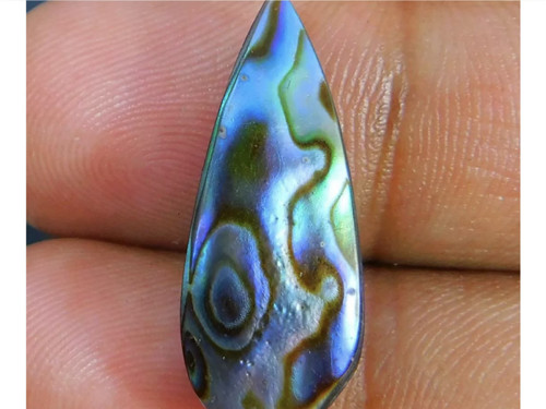 ABALONE SHELL- kabošon, mušle-broušená 8.90 Ct.