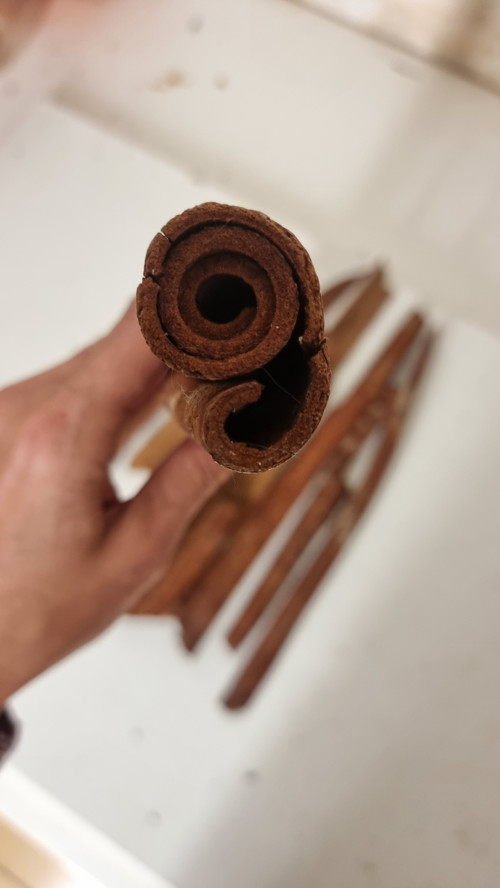 Extra velká exotická skořice 1 kus