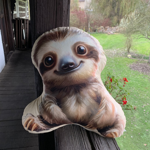 Polštář 3D - Lenochod — foto 1