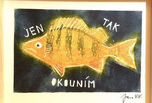 Jen tak okounim — foto 1