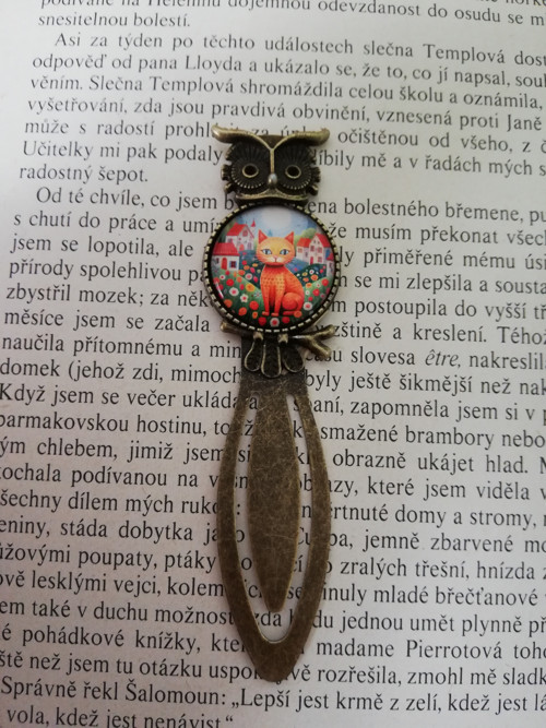 Záložka do knihy ZRZAVÁ KOČKA