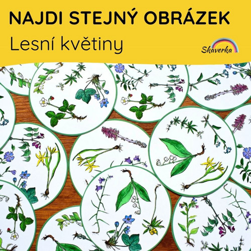 NAJDI STEJNÝ OBRÁZEK - Lesní květiny