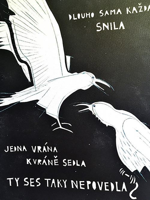 Bílé vrány — foto 1