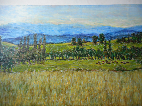 Letní ráno — foto 1