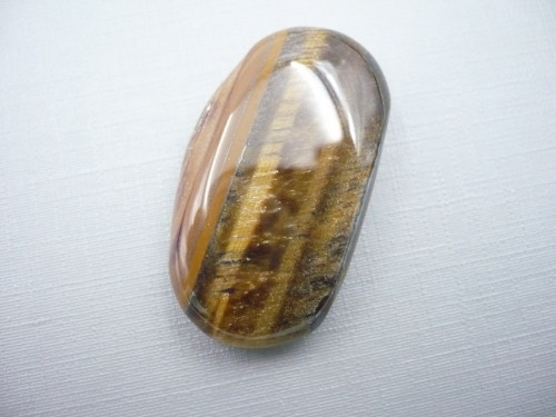 Placka - tygří železo 40 mm, č.582f