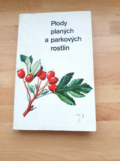 Plody planých a parkových rostlin — foto 1
