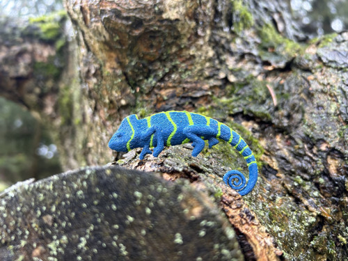 Chameleon greenblue/green