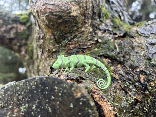 Chameleon silk green/green