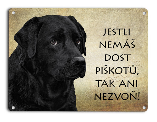 Labrador černý - Piškoty