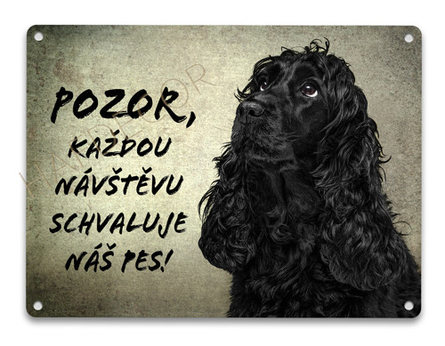 Plechová cedulka - Anglický kokršpaněl