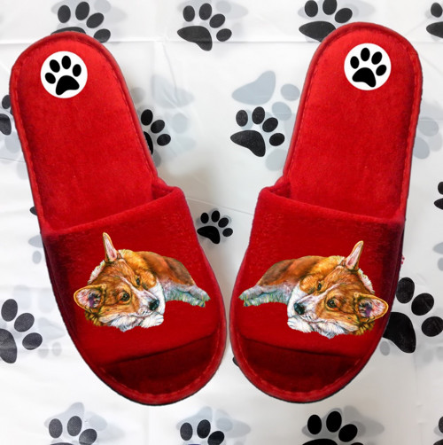 Welsh Corgi Bačkůrky- Pantofle — foto 1