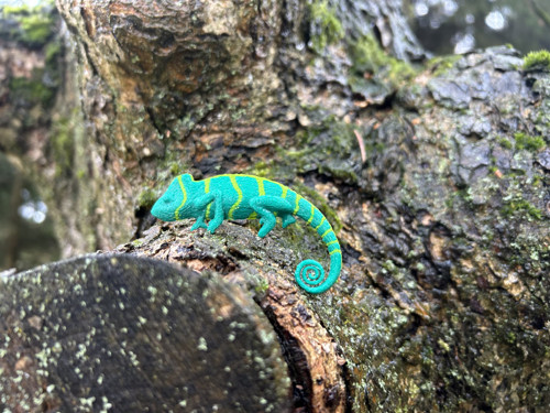 Chameleon turqoiuse green/green