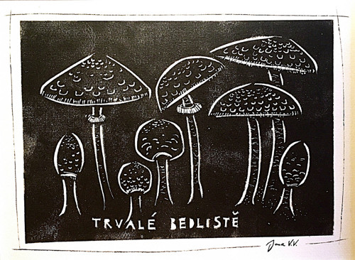 Trvalé bedliště
