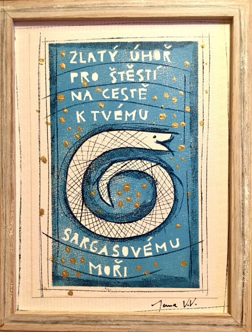 Zlatí úhoři — foto 1