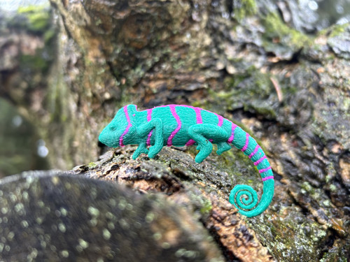 Chameleon turqoiuse green/magenta