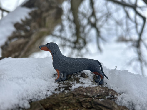 Jezevčík vertigo grey/copper