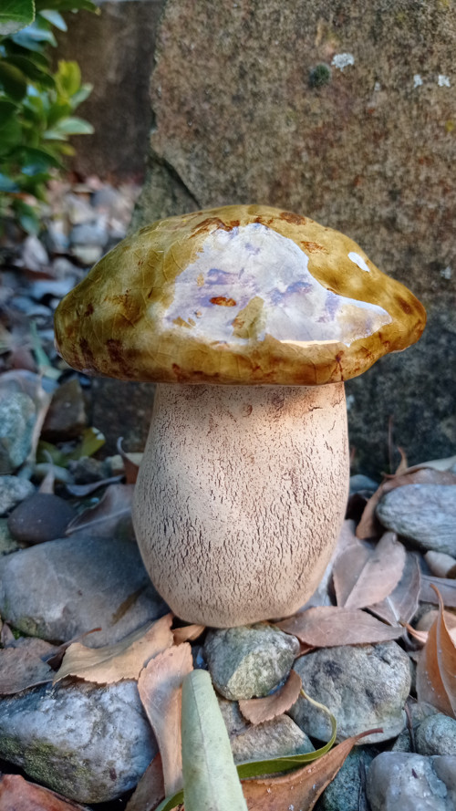 Keramika - hřibek
