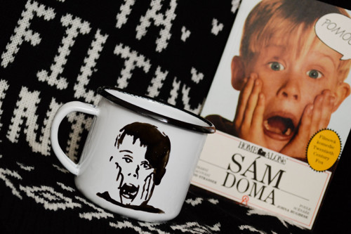 Plecháček - Kevin — foto 1