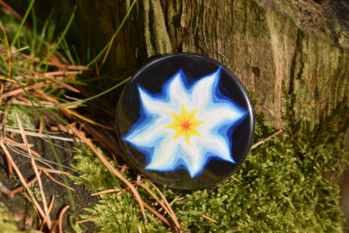 Magnet Hvězda