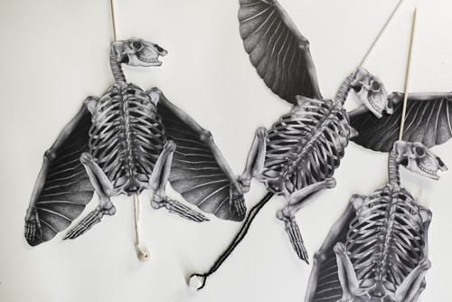 Papírová loutka Raptor Tudor