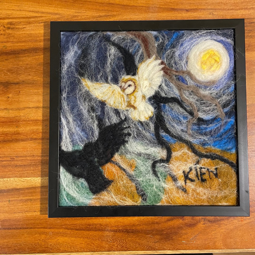 Sova — foto 1