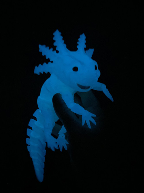 Axolotl s úsměvem M - 3D tisk — foto 1