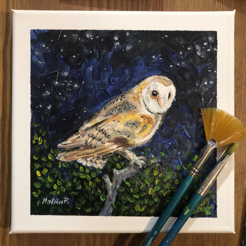 Sova pálená - akryl, 20x20 — foto 1