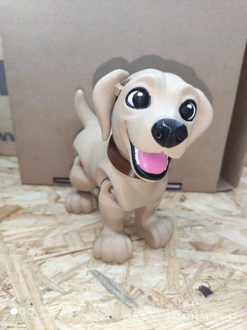 Labrador — foto 1