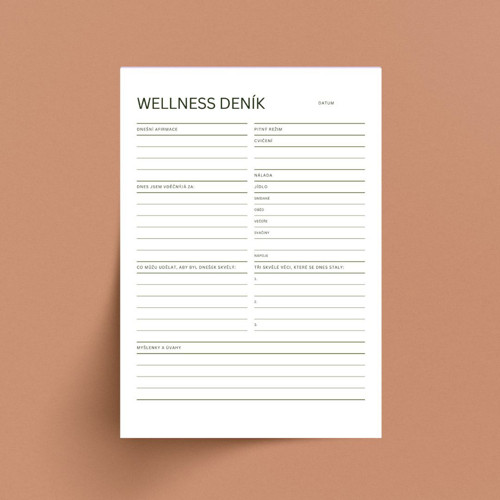 Wellness deník minimalistický | PDF