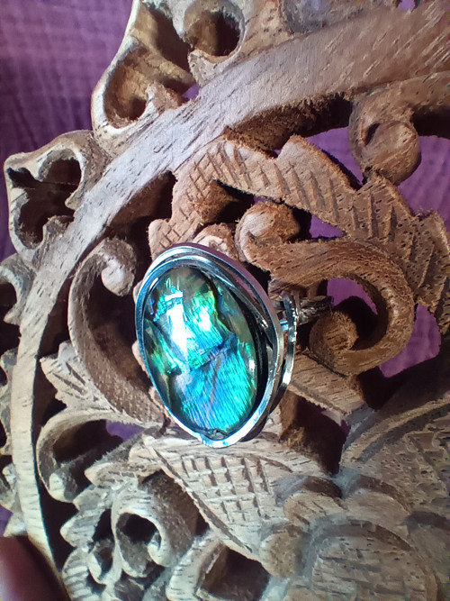 Abalone — foto 1