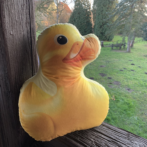 Polštář 3D - Káčátko velké — foto 1