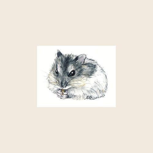Křeček džungarák - nažehlovačka