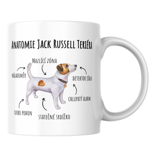 Anatomie Jack Russell teriéra - Hrníček — foto 1