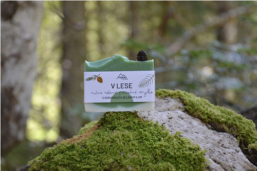 V lese