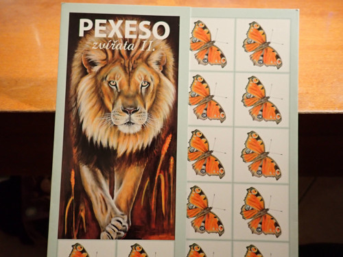 Pexeso Zvířata II. - lev