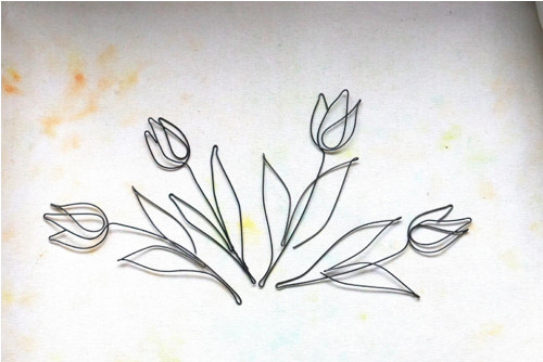 Tulipán