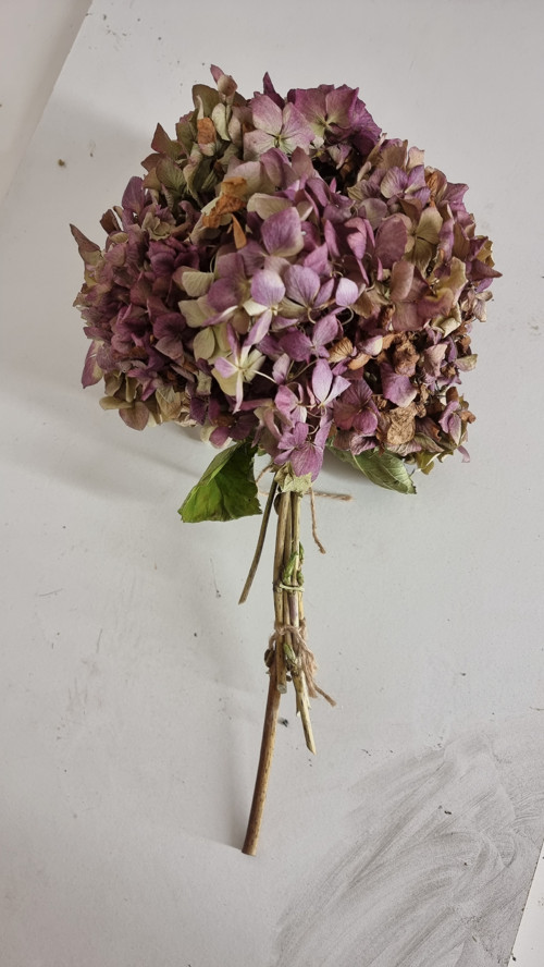 Stále živá purpurová kytice z Hortenzií