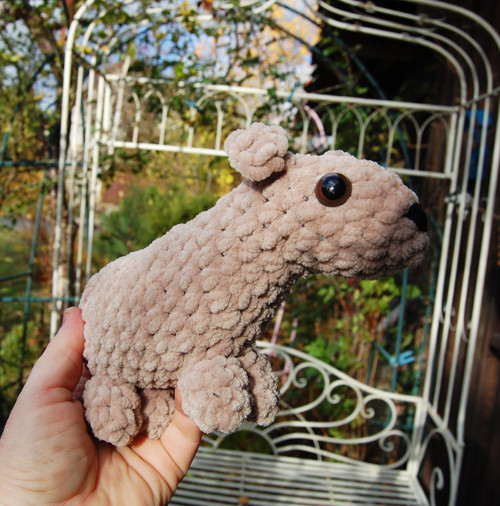 Kapybara