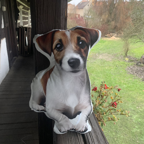 Jack Russell - 3D polštář — foto 1