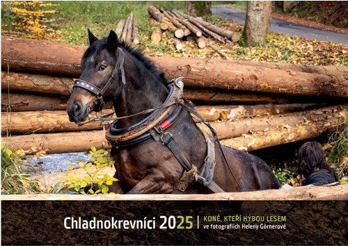 Kalendář Chladnokrevníci 2025