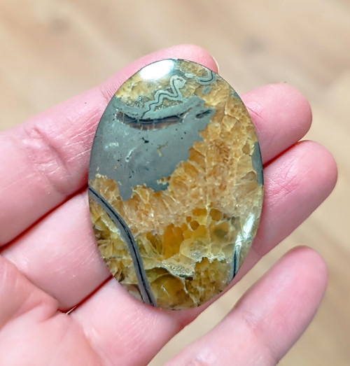 Amonitový Simbircit, ID 4449, 48x34 mm